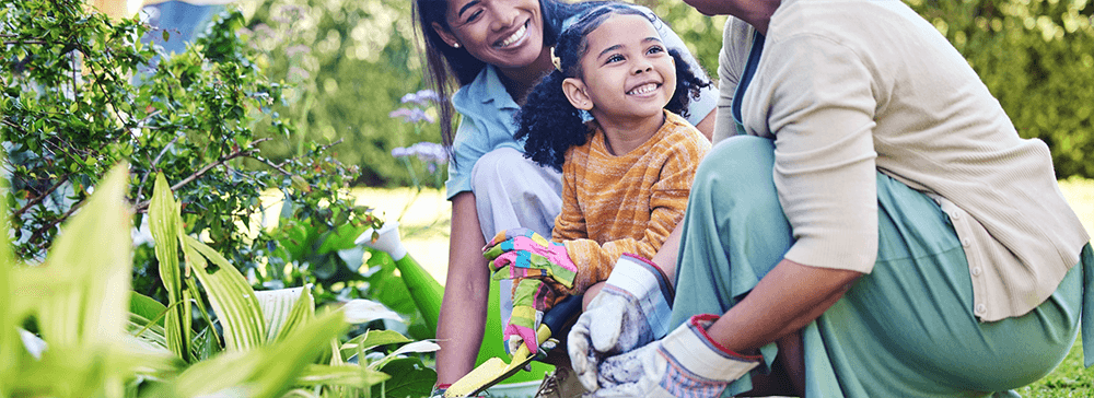 The Role of Therapeutic Gardens in Modern Living